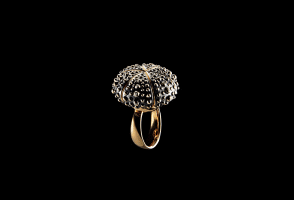 Gif animé bijoux bague
